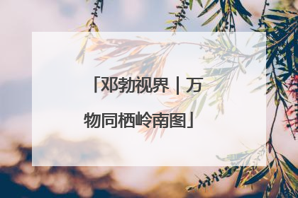 邓勃视界｜万物同栖岭南图