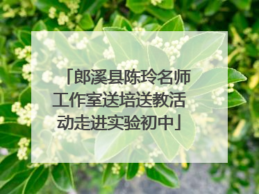 郎溪县陈玲名师工作室送培送教活动走进实验初中