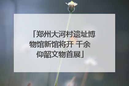 郑州大河村遗址博物馆新馆将开 千余仰韶文物首展