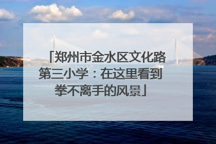 郑州市金水区文化路第三小学：在这里看到拳不离手的风景