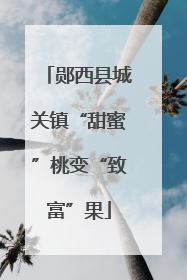 郧西县城关镇“甜蜜”桃变“致富”果
