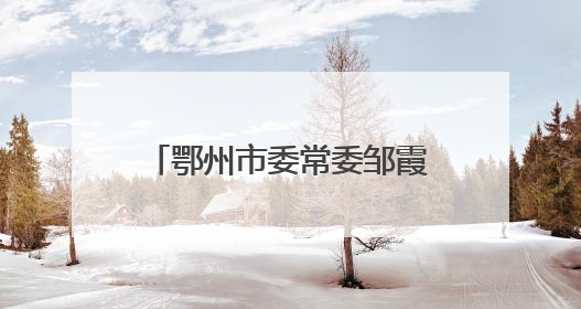 鄂州市委常委邹霞调任湖北省纪委监委派驻省人大机关纪检监察组组长
