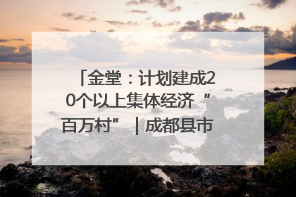 金堂：计划建成20个以上集体经济“百万村”｜成都县市新城高质量发展