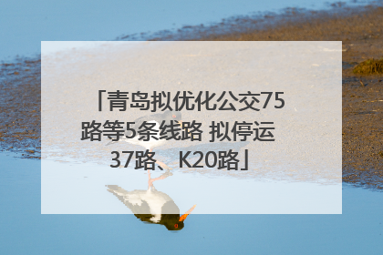 青岛拟优化公交75路等5条线路 拟停运37路、K20路