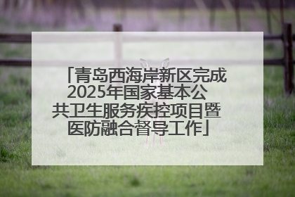 青岛西海岸新区完成2025年国家基本公共卫生服务疾控项目暨医防融合督导工作