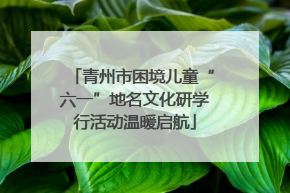 青州市困境儿童“六一”地名文化研学行活动温暖启航