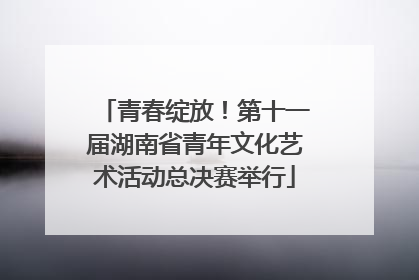 青春绽放！第十一届湖南省青年文化艺术活动总决赛举行