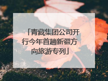 青藏集团公司开行今年首趟新疆方向旅游专列