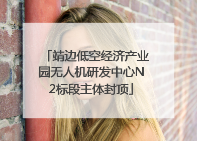 靖边低空经济产业园无人机研发中心N2标段主体封顶