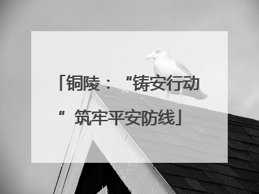 铜陵：“铸安行动”筑牢平安防线