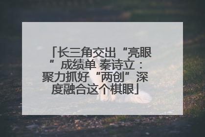 长三角交出“亮眼”成绩单 秦诗立：聚力抓好“两创”深度融合这个棋眼