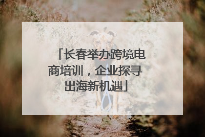 长春举办跨境电商培训，企业探寻出海新机遇
