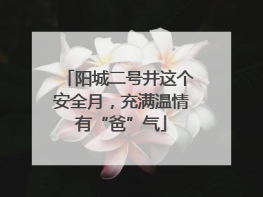 阳城二号井这个安全月，充满温情有“爸”气