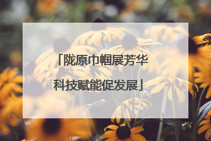 陇原巾帼展芳华 科技赋能促发展
