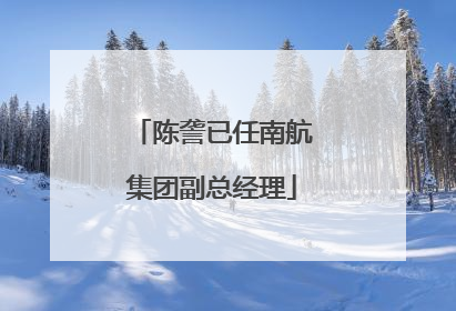 陈詟已任南航集团副总经理
