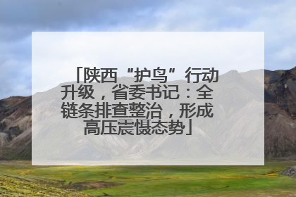 陕西“护鸟”行动升级，省委书记：全链条排查整治，形成高压震慑态势