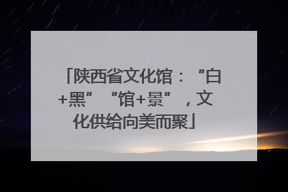 陕西省文化馆：“白+黑”“馆+景”，文化供给向美而聚