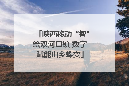 陕西移动“智”绘双河口镇 数字赋能山乡蝶变