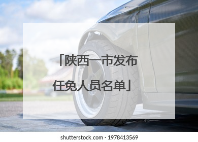 陕西一市发布任免人员名单