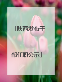 陕西发布干部任职公示