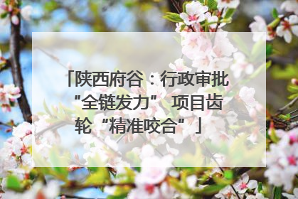 陕西府谷：行政审批“全链发力” 项目齿轮“精准咬合”