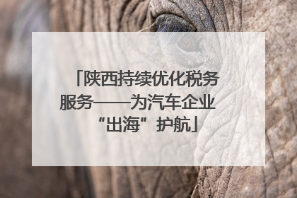 陕西持续优化税务服务——为汽车企业“出海”护航