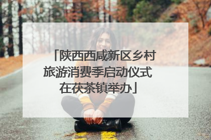 陕西西咸新区乡村旅游消费季启动仪式在茯茶镇举办