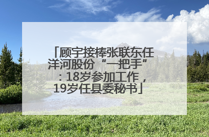 顾宇接棒张联东任洋河股份“一把手”：18岁参加工作，19岁任县委秘书