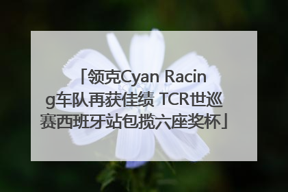 领克Cyan Racing车队再获佳绩 TCR世巡赛西班牙站包揽六座奖杯