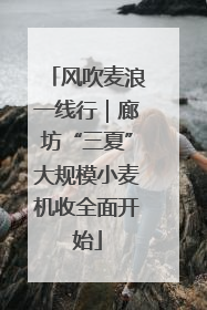风吹麦浪一线行｜廊坊“三夏”大规模小麦机收全面开始