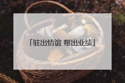 驻出情谊 帮出业绩