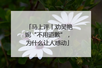 马上评丨劝吴艳妮“不用道歉”，为什么让人感动