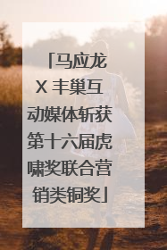 马应龙 X 丰巢互动媒体斩获第十六届虎啸奖联合营销类铜奖