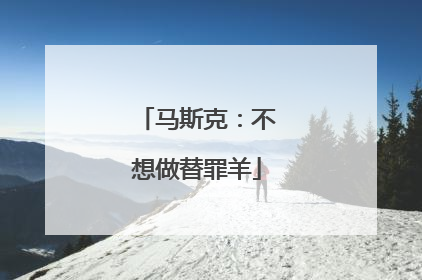 马斯克：不想做替罪羊