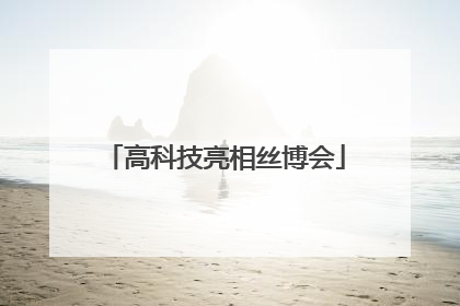 高科技亮相丝博会