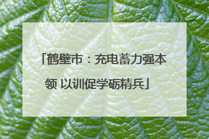 鹤壁市：充电蓄力强本领 以训促学砺精兵
