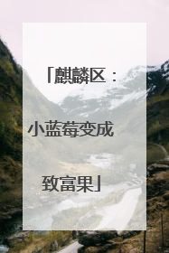 麒麟区：小蓝莓变成致富果