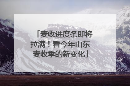 麦收进度条即将拉满！看今年山东麦收季的新变化