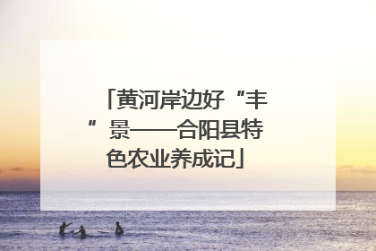 黄河岸边好“丰”景——合阳县特色农业养成记