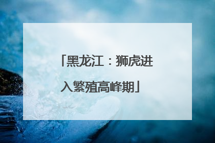黑龙江：狮虎进入繁殖高峰期