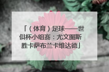 （体育）足球——世俱杯小组赛：尤文图斯胜卡萨布兰卡维达德