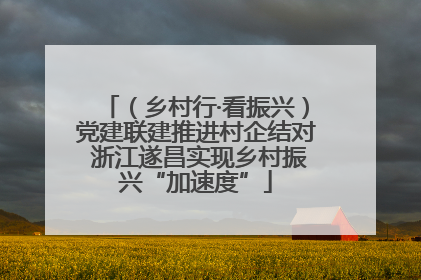 （乡村行·看振兴）党建联建推进村企结对 浙江遂昌实现乡村振兴“加速度”
