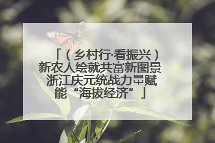（乡村行·看振兴）新农人绘就共富新图景 浙江庆元统战力量赋能“海拔经济”