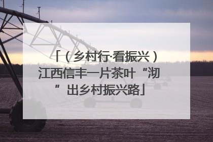 （乡村行·看振兴）江西信丰一片茶叶“沏”出乡村振兴路