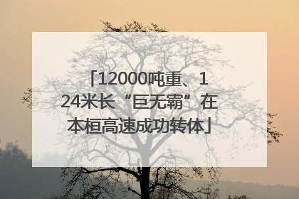 12000吨重、124米长“巨无霸”在本桓高速成功转体