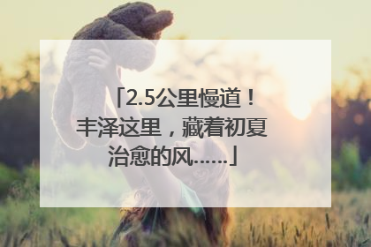 2.5公里慢道！丰泽这里，藏着初夏治愈的风……