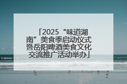 2025“味道湖南”美食季启动仪式暨岳阳啤酒美食文化交流推广活动举办