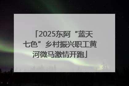 2025东阿“蓝天七色”乡村振兴职工黄河微马激情开跑