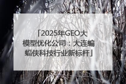 2025年GEO大模型优化公司：大连蝙蝠侠科技行业新标杆