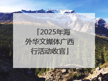 2025年海外华文媒体广西行活动收官